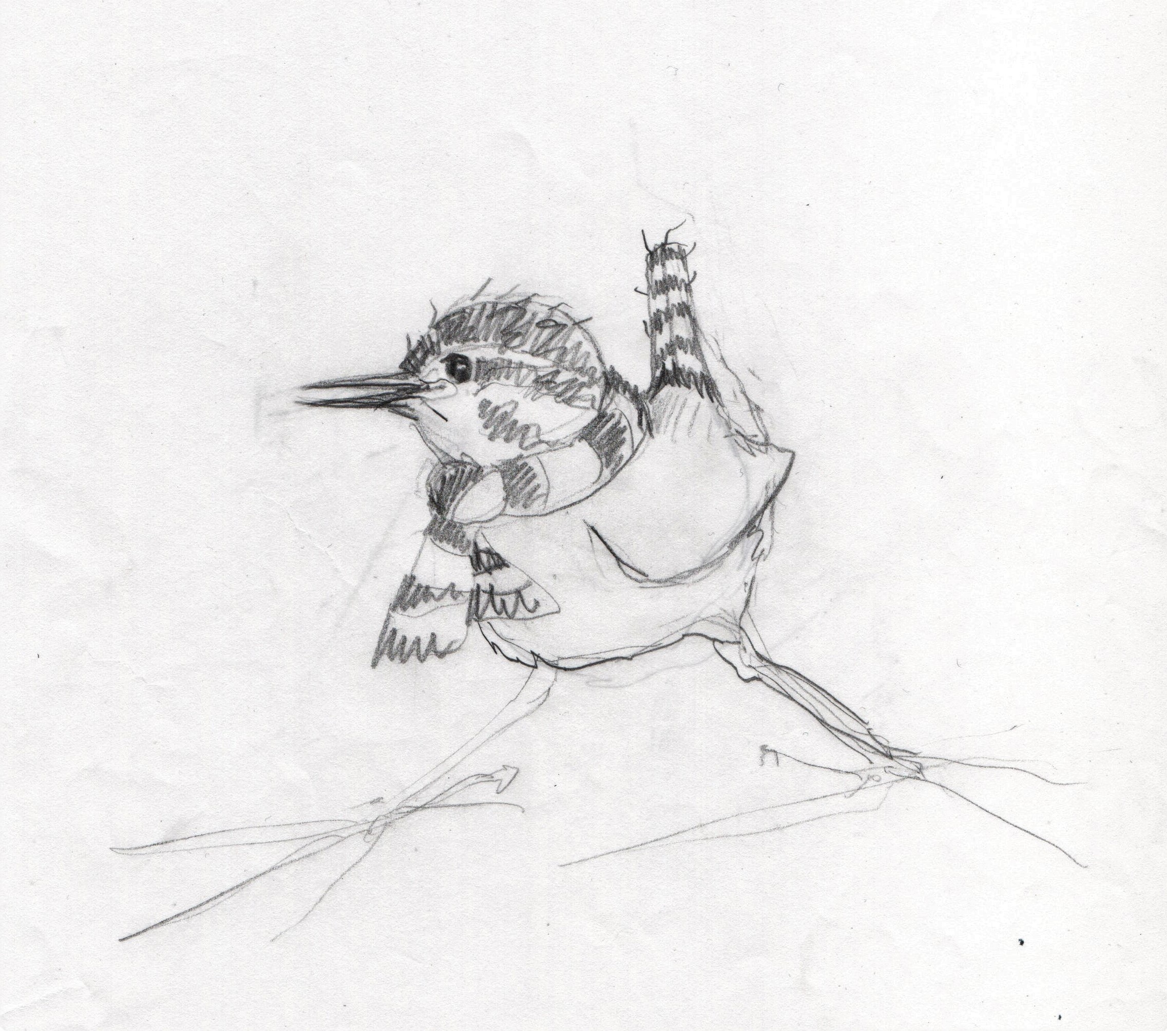 <b>klein jantje schets